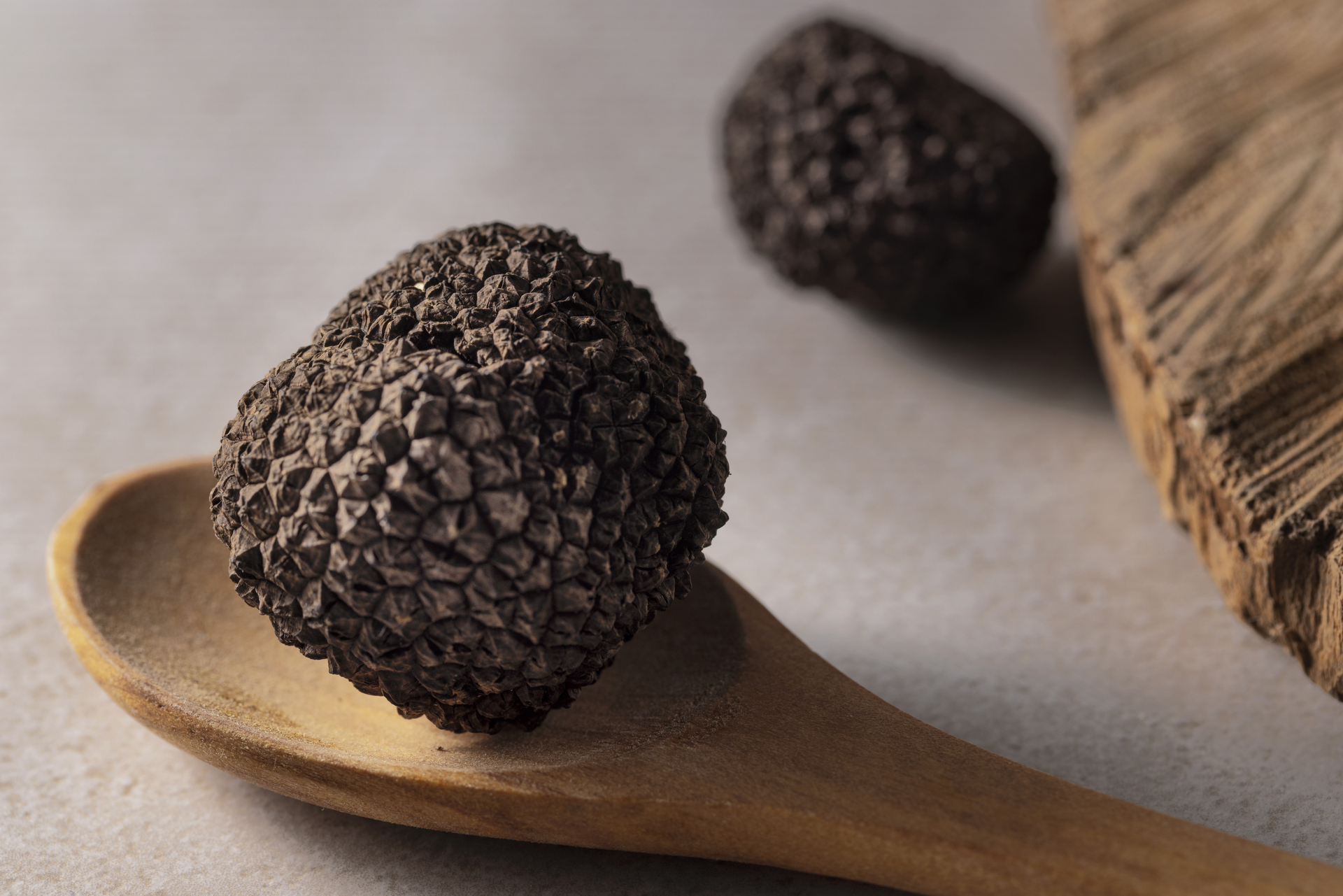 Tartufo bianchetto
