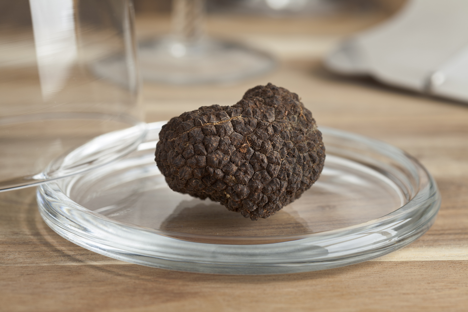 Tartufo bianchetto